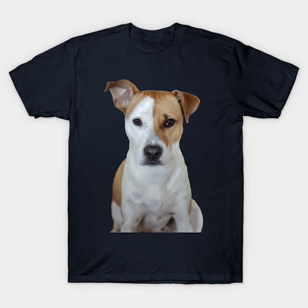 American Pit Bull Terrier Dog T-Shirt by xesed